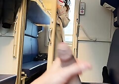 Sex with the conductor on the educate, I hope this babe doesn’t get fired!