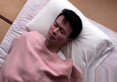 An irresistible Japanese beaver