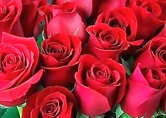 Bangla choto golpo beautiful mature saree chachi cheating hasband full story in Bangla audio choto g