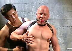 Sadism & masochism, leather, t room