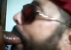 Bezerro carioca mamando os machos 7