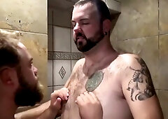 Hd videos, wild gay, faphouse