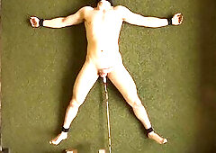 Widen Eagle Anal Machine Training For Males