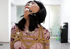 chinese bondage shibari