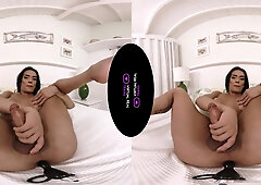 My Favourite Beefstick in VR