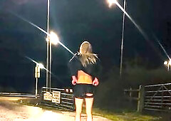 Golden-Haired Sunny flashing close to the road