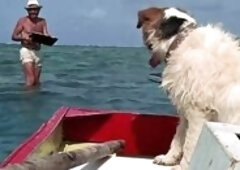 These A-list actresses put the A in ass. See for yourself with this playlist filled with the hottest hinnies in Hollywood. You'll love checking o