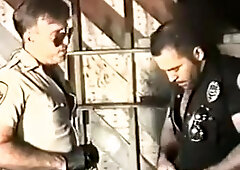 Hairy Cops On The Bar