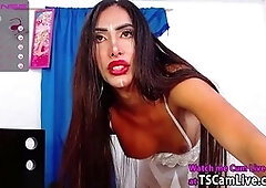 Live shemale webcam action