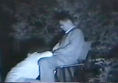 Couple fucking hard in the park