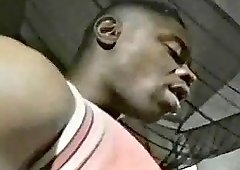 sean michaels fucks porsche lynn