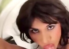 Trans500 só seu fã