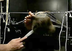 Bondaged Guy Gets Feet Tickled