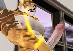 Solo, animation, tiger