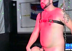 Gay bareback, ours, barebacking