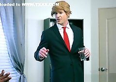 Zz Series - Zz Erection 2016