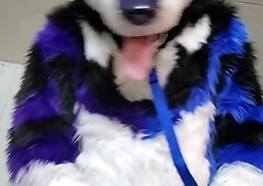 Johnny Huskey - Grope off and jizz :trio