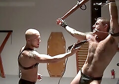 Xvideos, beards, turned on