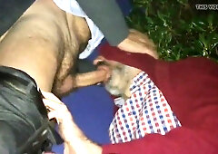 Cruising n the night forest