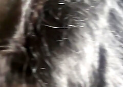 Pakistani Hot Desi Wite