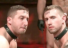 Gang-fuck, blowjob gangbang, grappling