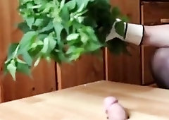 Girl gets a dude's cock tied up and teases him