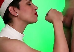 Perky Christmas 2021!