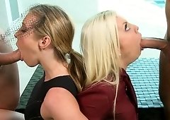 Classy babes are having group sex
