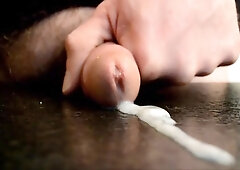 Jelly Montage 31 (Diminutive Rod)