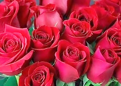 Big titty new wife Desi Mazaa ready to please