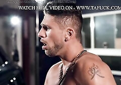 The Domino Effect TransAngels