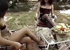 Brasil transexual connection