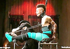 Black bound in device booty ravaged