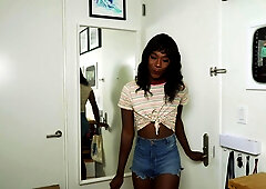 Vanniall - Totally Real Handyman