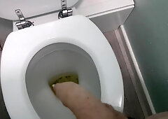 Do you like it when I Urinate? (Pee Compilation)