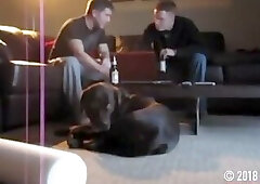 Str8 guy caught mutual wanking