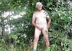 Its so naive to legislate against Exhibitionism and Public Masturbation.