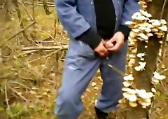 nlboots - promise final year in the forest