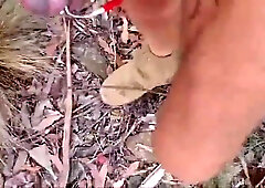 Bush walking my E-stim223