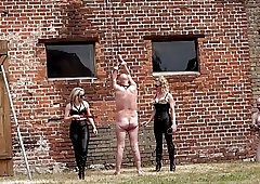Male pigs tied up in the outdoors by two mistresses