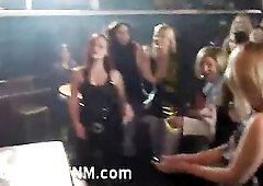 Glamorous Hotty Sucking Boy Strippers Wang on Stage The Party Beauties All Love Dick and Screwing