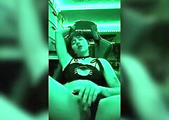 Cat male strokes his vagina