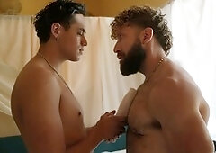 Bears and studs in all their wooly glory