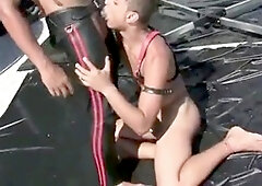 Coyote fudendo sem capa ao ar livre