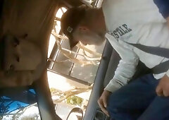 Bearded sucking in car