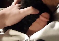 POINT OF VIEW Plushie Border Collie Makes Onesie Puppy Spunk!