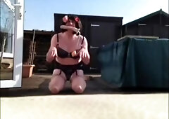 Sissy cooter the siissy mutt