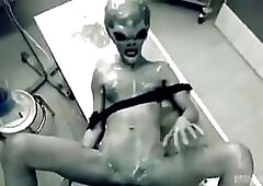 rare experiment in area 51