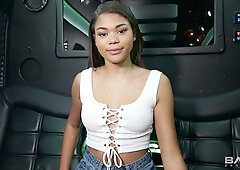 Michelle Anderson Fucks A Dude Raw On A Party Bus