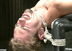 Big dick TBabe fucking bound man slave